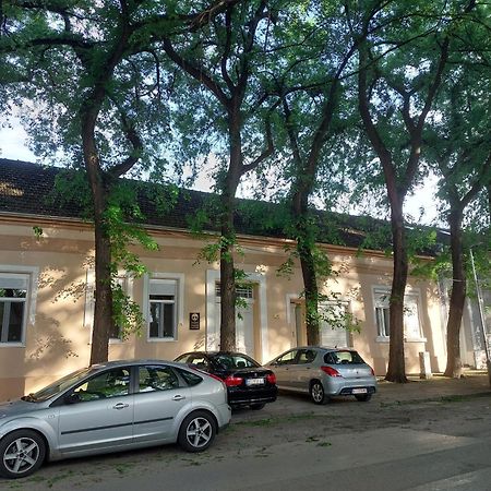 Cudesni Drvored Kikinda Buitenkant foto