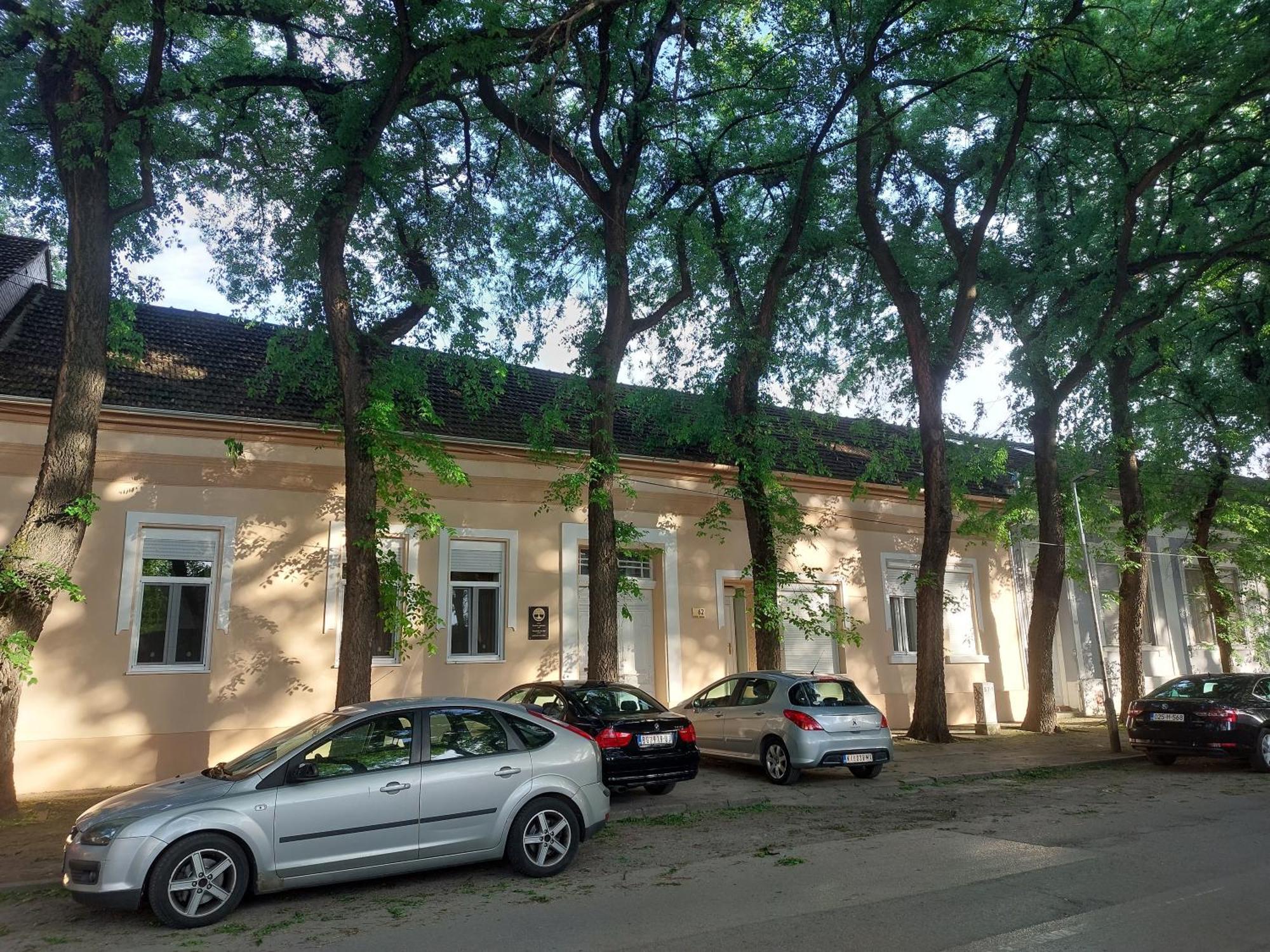 Cudesni Drvored Kikinda Buitenkant foto